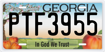 GA license plate PTF3955