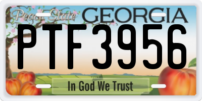 GA license plate PTF3956