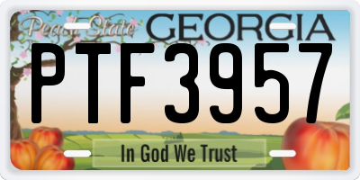 GA license plate PTF3957