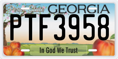GA license plate PTF3958