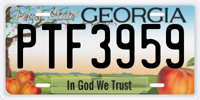 GA license plate PTF3959