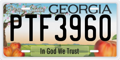 GA license plate PTF3960