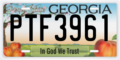 GA license plate PTF3961