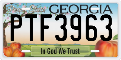 GA license plate PTF3963