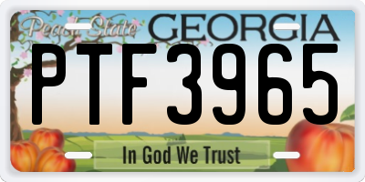 GA license plate PTF3965