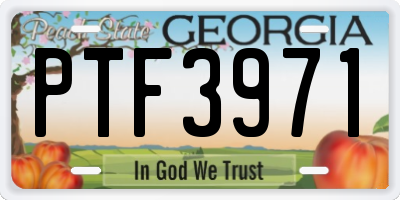 GA license plate PTF3971