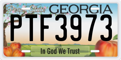 GA license plate PTF3973