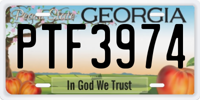 GA license plate PTF3974