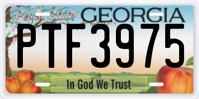 GA license plate PTF3975