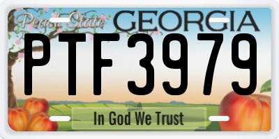 GA license plate PTF3979