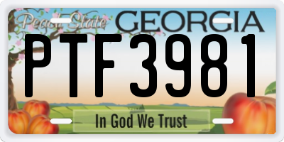 GA license plate PTF3981