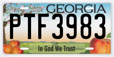 GA license plate PTF3983