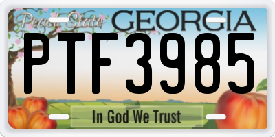 GA license plate PTF3985