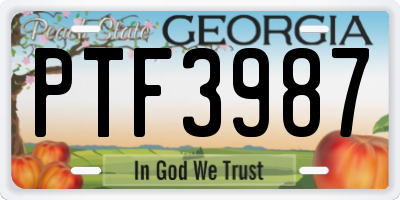 GA license plate PTF3987
