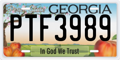 GA license plate PTF3989