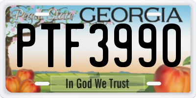 GA license plate PTF3990