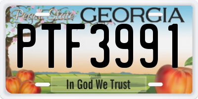 GA license plate PTF3991