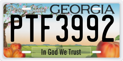 GA license plate PTF3992