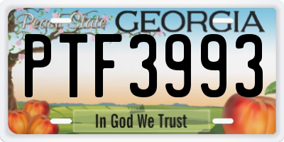 GA license plate PTF3993