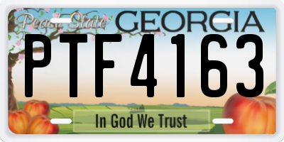 GA license plate PTF4163