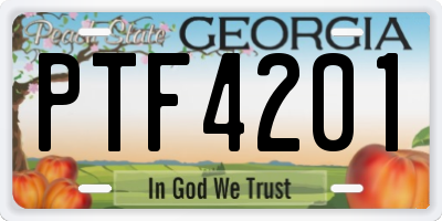 GA license plate PTF4201