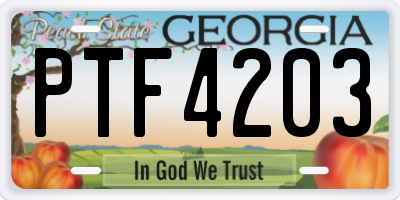 GA license plate PTF4203
