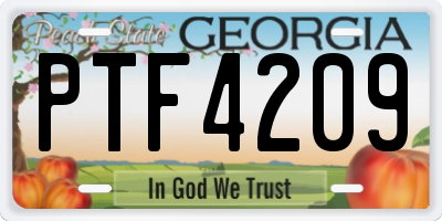 GA license plate PTF4209