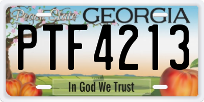 GA license plate PTF4213