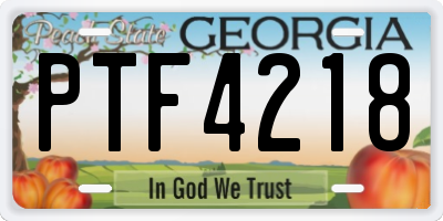 GA license plate PTF4218