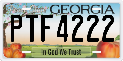 GA license plate PTF4222