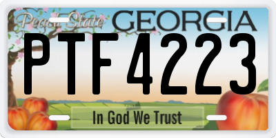 GA license plate PTF4223
