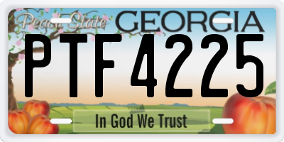 GA license plate PTF4225