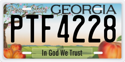GA license plate PTF4228