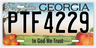 GA license plate PTF4229