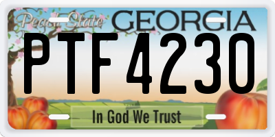 GA license plate PTF4230