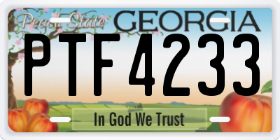 GA license plate PTF4233