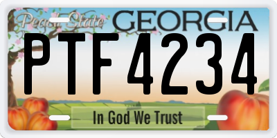 GA license plate PTF4234