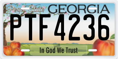 GA license plate PTF4236