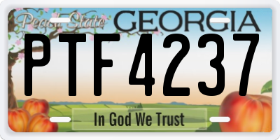 GA license plate PTF4237