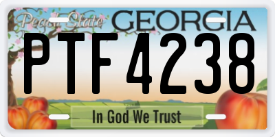 GA license plate PTF4238