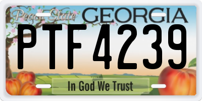 GA license plate PTF4239