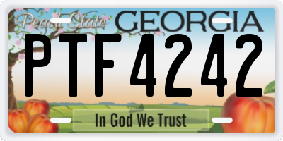 GA license plate PTF4242