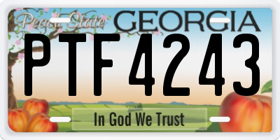 GA license plate PTF4243