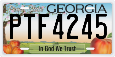 GA license plate PTF4245