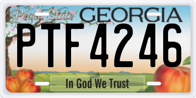 GA license plate PTF4246