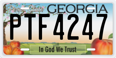 GA license plate PTF4247