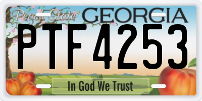 GA license plate PTF4253