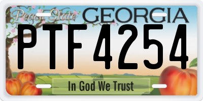 GA license plate PTF4254