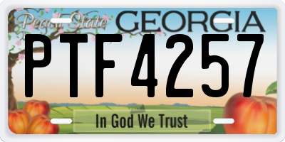 GA license plate PTF4257