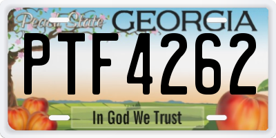 GA license plate PTF4262